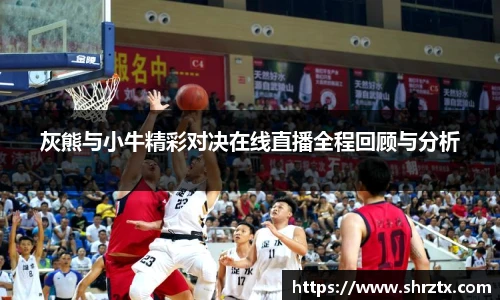 灰熊与小牛精彩对决在线直播全程回顾与分析